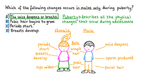 puberty pubic hair|EPOS&trade;