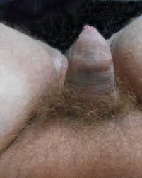 Nrtgkkepx u cda jpg x Hairy dick