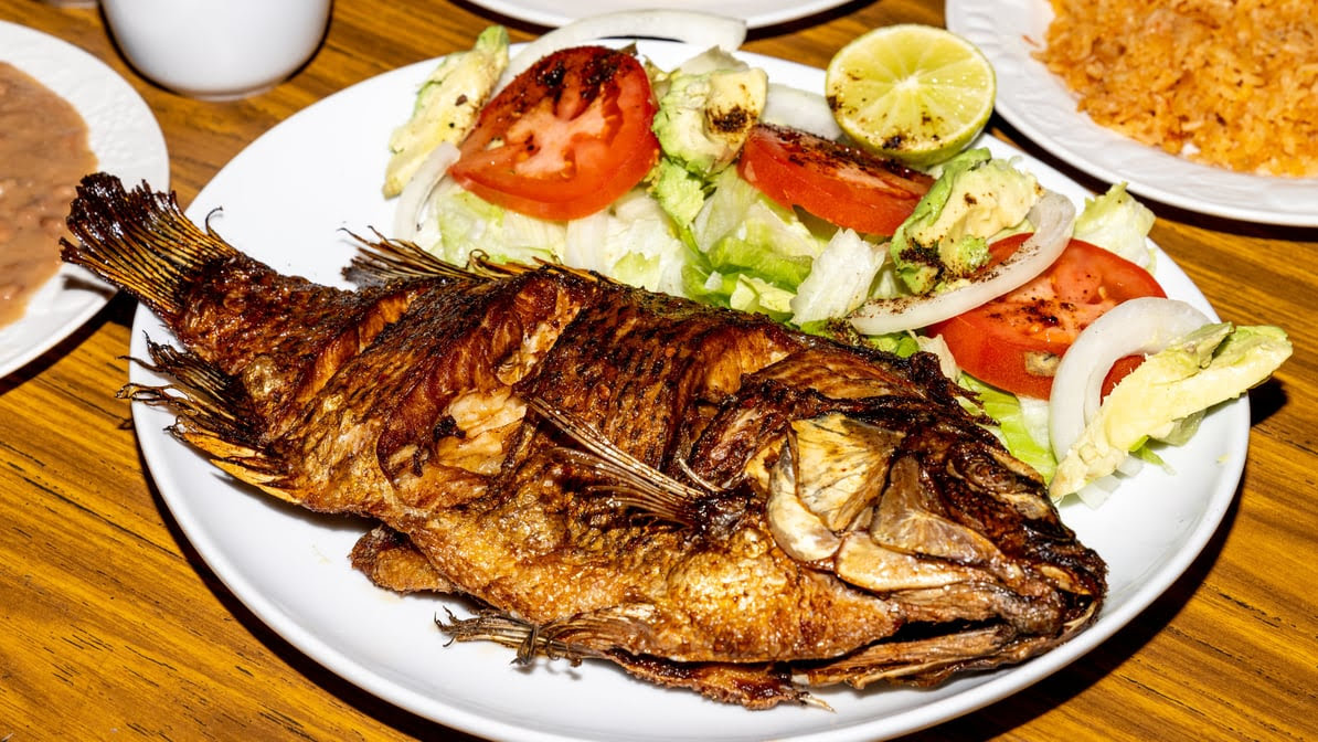 La Selva Taqueria by null