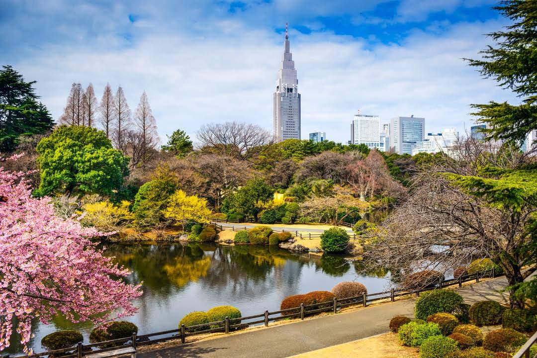 Shinjuku Gyoen National Garden image