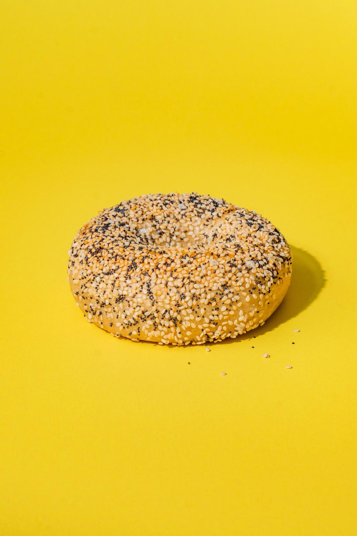 Paulie's Bagels by null
