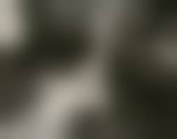 jock sturgis pussy|Funtwolook (@funtwolook) / X