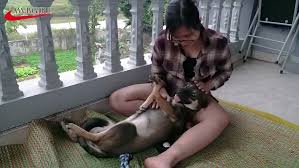 Dog and girl sex jpg x Dog xxx girl