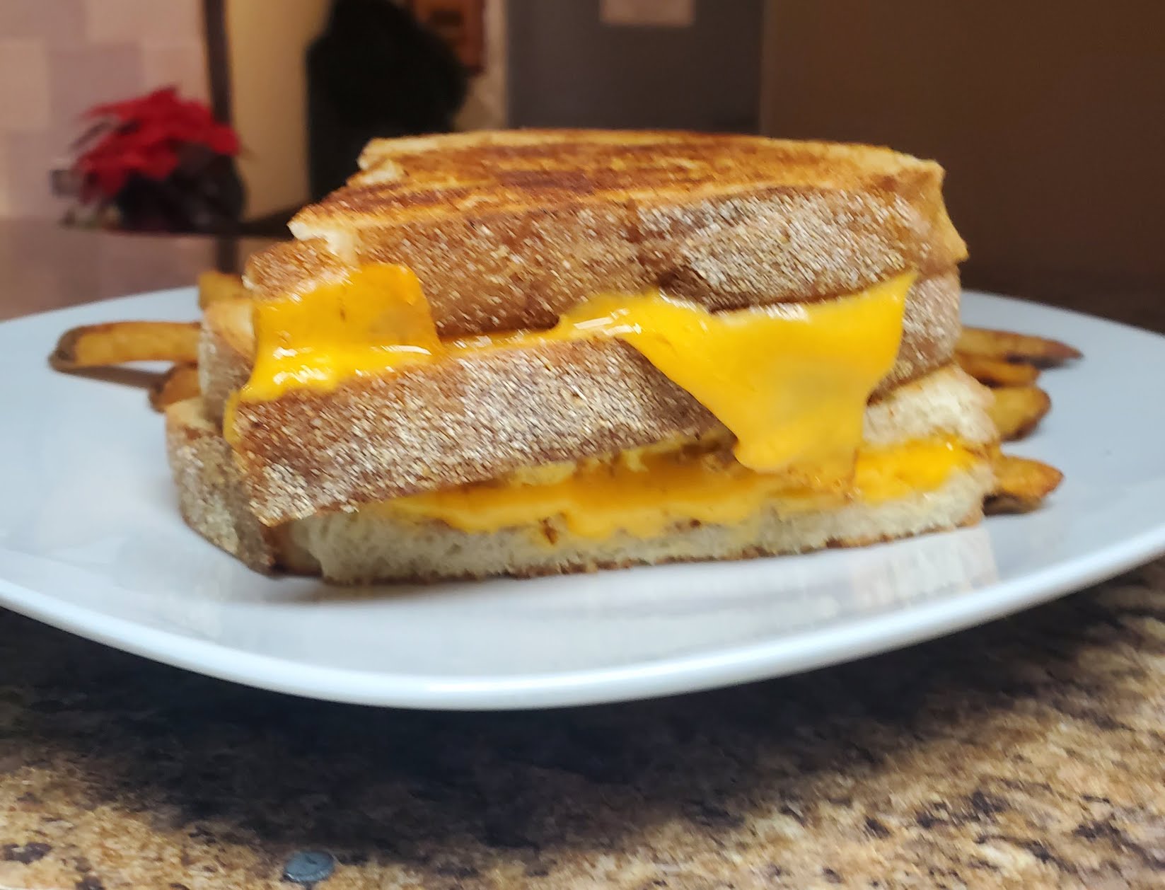 Falcon's Handcrafted Sandwiches by null