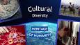 Значение культурного разнообразия для развития общества ile ilgili video