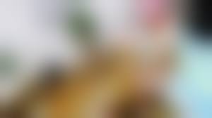 animalsexfun dog teen|Cute girl with natural boobs uses her dog for own sexual fun