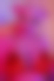 animalsex src|Sexy Sex and Animal Sex | WIRED