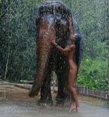 Naked girl on an elephant porn pic eporner jpg x Elephant teen