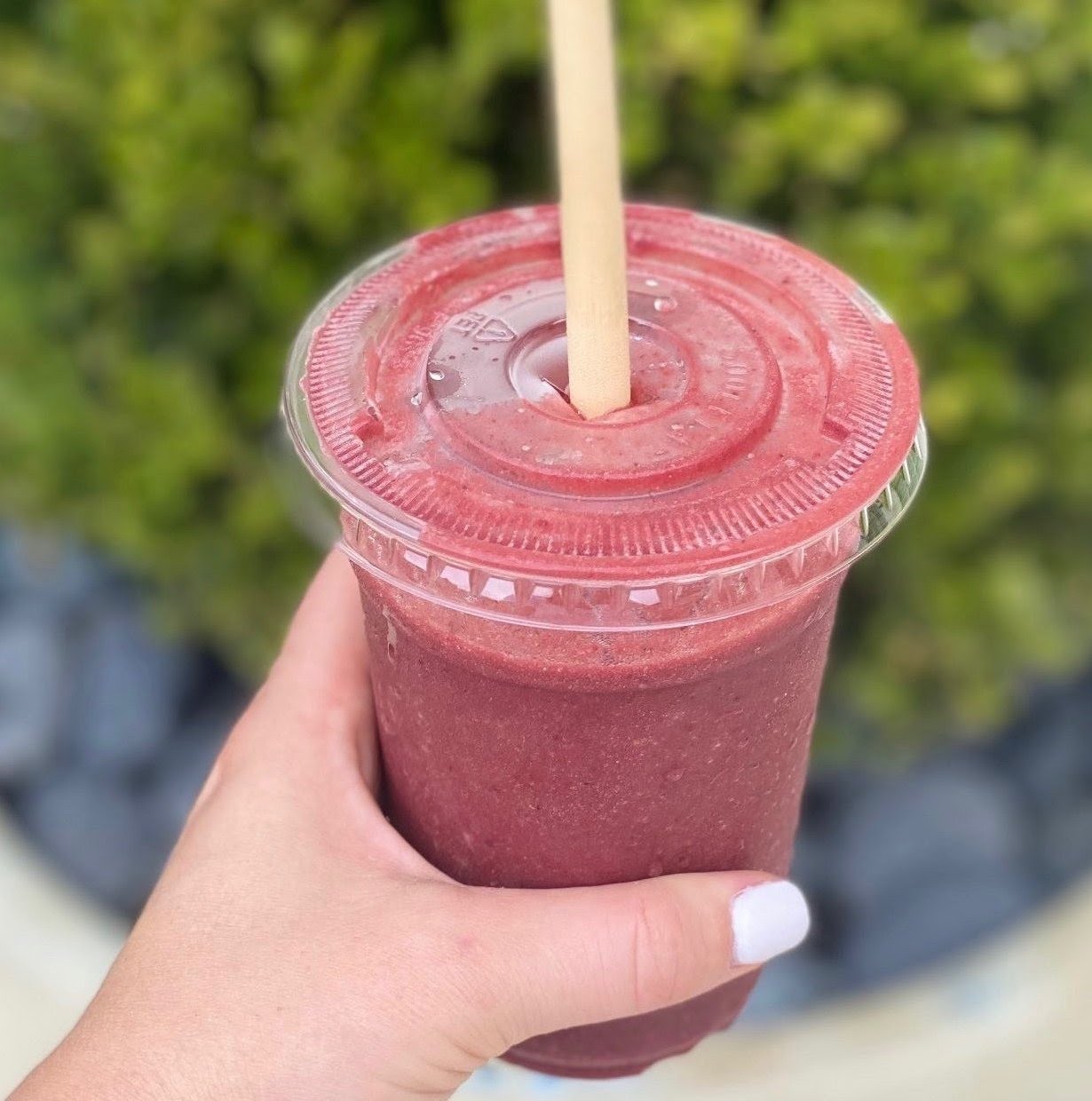 Green Fork & Straw by null