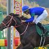 【有馬記念予想】カギを握る3頭の逃げ争いに注目！ | 競馬ニュース ...