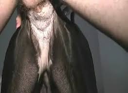 Man And Wich Sex - Man Fuck Male Dog Xnxx Videos