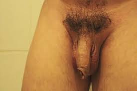 Asian teen has her pussy shaved before sex in the hotel porn jpg x Shaving before