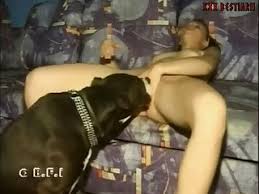 Search pet play sex jpg x Pet sex