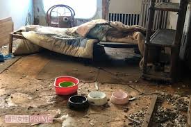 鬼畜飼育 |飼育 美少女徹底調教 1巻(書籍) - 電子書籍 | U-NEXT 初回600円分無料