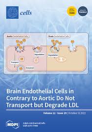 seo ji hye fake nude|Jalan jalan cari makan😋 Selamat sore Jakarta!
