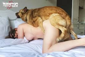 Dogmovie jpg x And dog