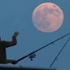 Full moon October 2024