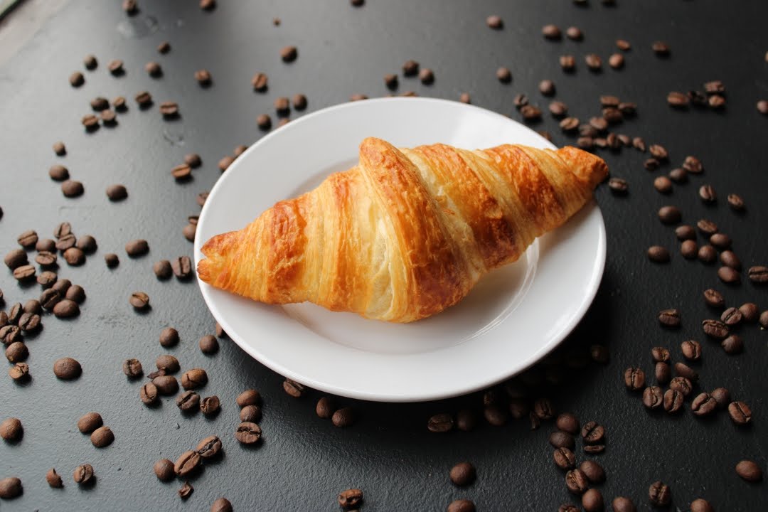 Black Turtle Coffee by null