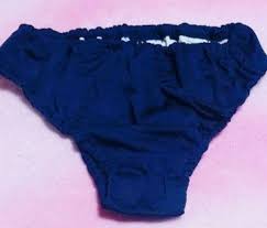 ブルマ　アンスコ|新品☆1733☆アンスコ 体操服 担ぎ かさねばき ブルマ=2L