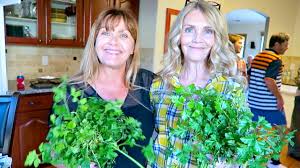 Lesbian granny|Finding love and companionship with 40 year old lesbians - Suncrest