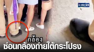 ประถม ใต้กระโปรง|size-chart