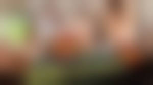 カリビアンコム時間よ止まれ無修正|タイムファックバンディット 時間よ止まれ ～交際クラブ編～ 涼宮のん | 無修正アダルト動画 カリビアンコム