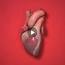 Sağlıklı Bir Kalp İçin Beslenme ile ilgili video