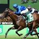 Sarajevo Included In Gold Coast Guineas Field 