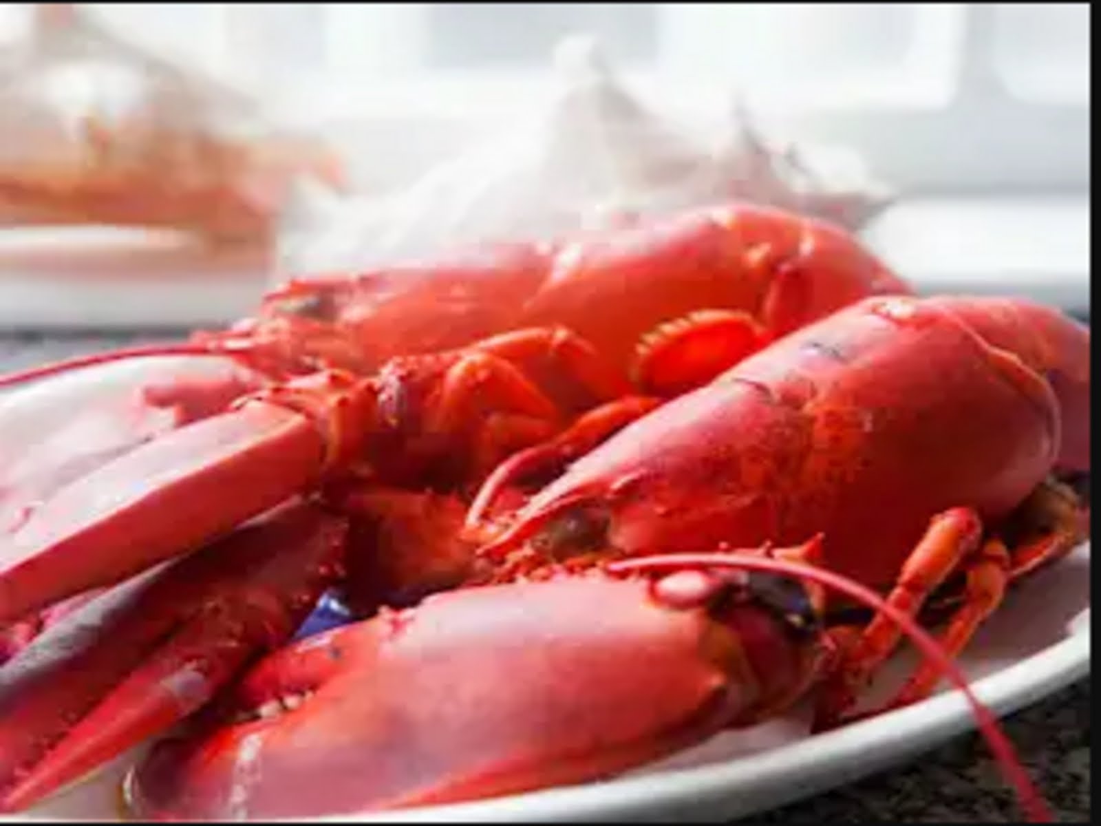 Shinnecock Lobster Factory by null