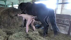 Hungary girl fucks horse on the farm zoo porn dog sex zoophilia jpg x Girl getting fucked by horse