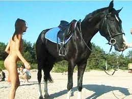 Pferd sex mit frau.