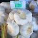 Chinese garlic moves local produce debate from supermarkets to farmers ... 