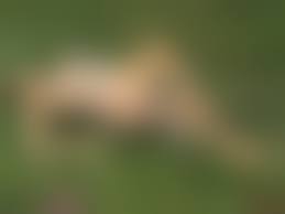 3D comics incest|NLT media 3d comics: Mama's favorite (page 1-15)