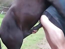 Teen from georgia and her dog fucking wildly zoo xvideos jpg x She fucks dogs