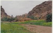 ��� ������� : 13 ����� ���� ������� ������ ��� ������