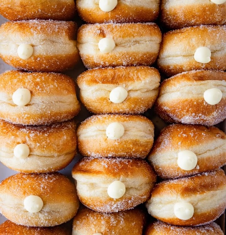 General Porpoise by null