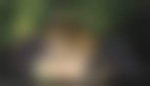 bestiality fuck pics|Bestiality and Futanari! Horses fuck DickGirl in epic 3D porn compilation