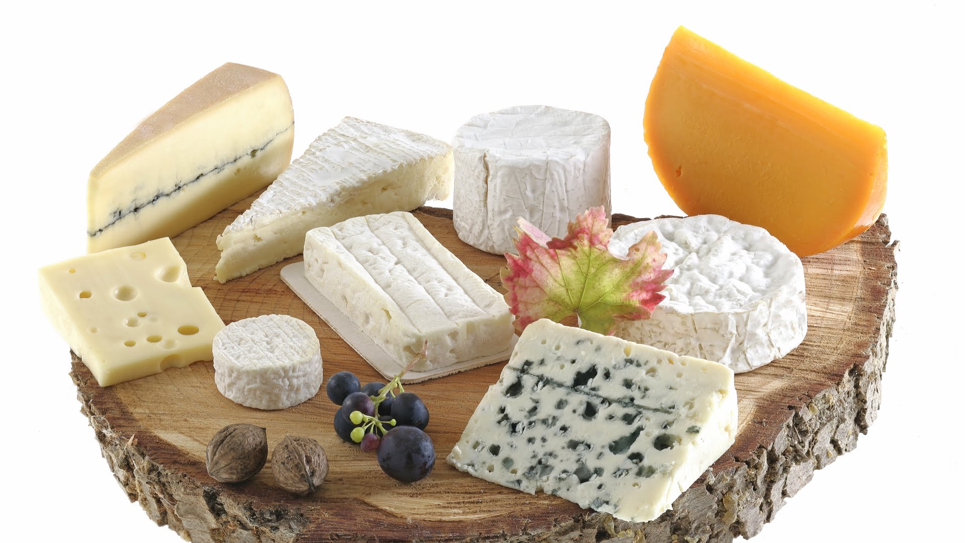 My French Cuisine by null