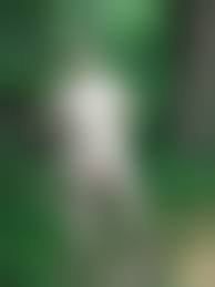 enature  nudist| / X