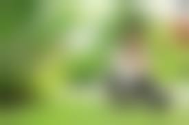  dogs fucking japanesegirls|Two Gorgeous Japanese Sluts Fuck Eachother - Pornhub.com