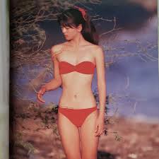 中山忍　ヌード|切り抜き（452a-1）佐野量子 島田奈美 森恵 小川範子 遠藤由美子 水谷麻里 中嶋美智代 南野陽子 中山忍 菊池桃子 芳本美代子 商品细节 |  JDirectItems Auction | One Map by FROM JAPAN