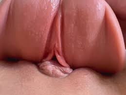 Lesbian wet pussy jpg x Lesbian wet pussy