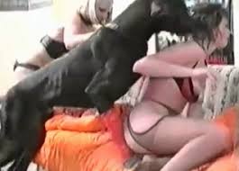 Fce dog sex compilation zoo porn girl fucks dog beastiality zoosex jpg x She fucks dogs