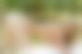 blonde beauty porn actress naked ass|Kayley Gunner sexy bubble butt blonde beauty nude showing her fine ass  curves erotic xxx porn star hd wallpaper 1280x720 nude models and pornstars  wallpapers