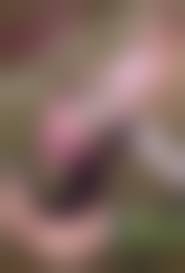 Хентай анал|Изнасилование 18 летних студенток огромными насекомыми, хентай порно