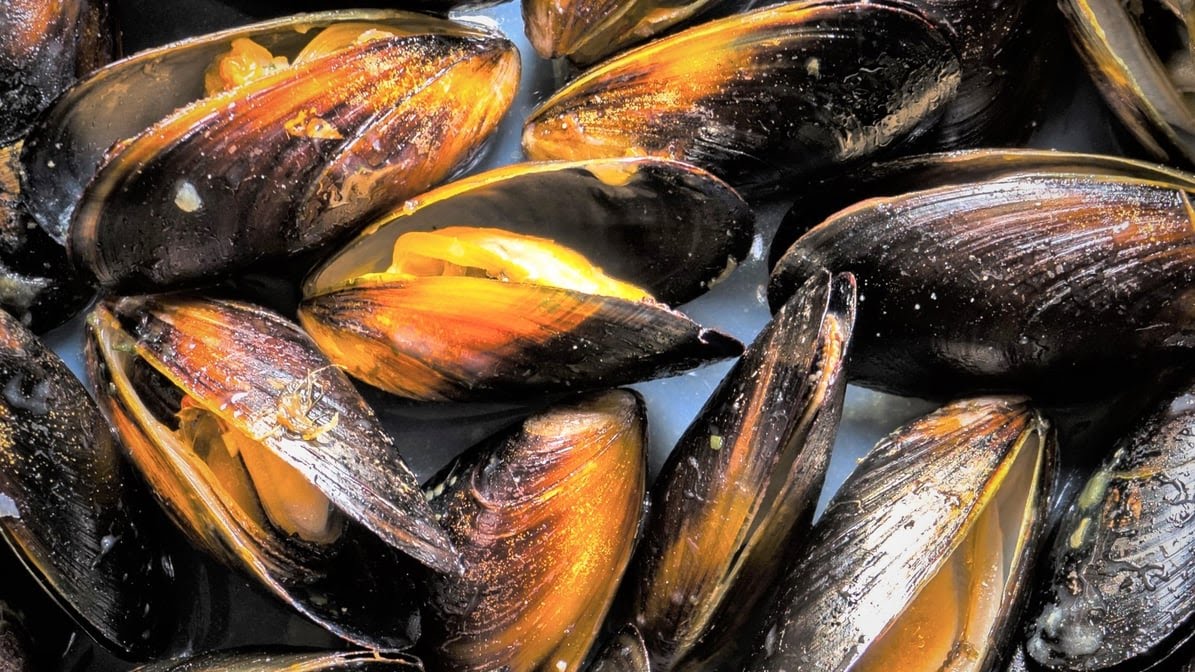 Juicy Seafood by null