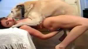 Hombre abrazando su amigable pitbull jpg x Mujeres teniendo sexo con perros