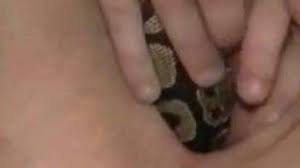 Animal sex beastiality porn jpg x Snake in pussy