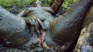 Search lesbian mud jpg x Lesbian mud