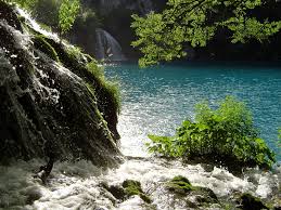 images?q=tbn:ANd9GcRqK9haPOizI8_RDHAZKpDPaMouMT9Rp7IuE1IEwtmCh98sKnxTFw